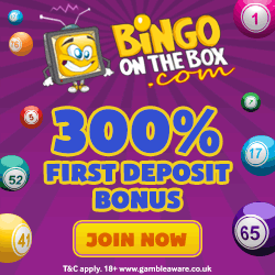 Bingo on the Box
