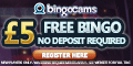 Bingocams