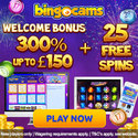 Bingocams
