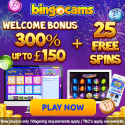 Bingocams