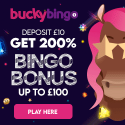 Bucky Bingo