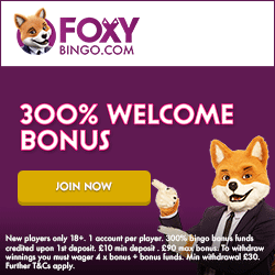 Foxy Bingo