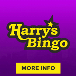 Harrys Bingo