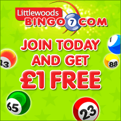 Littlewoods Bingo
