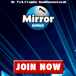 Mirror Bingo