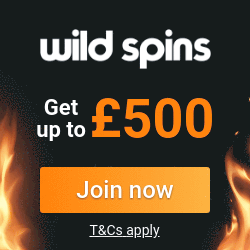 Wild Spins Bingo
