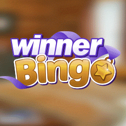 Winner Bingo